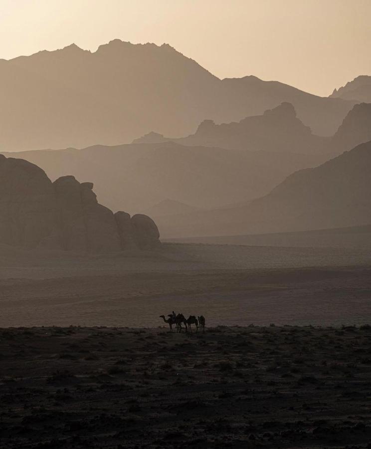 Wadirum Zeid Camp&Tours Wadi Rum Esterno foto