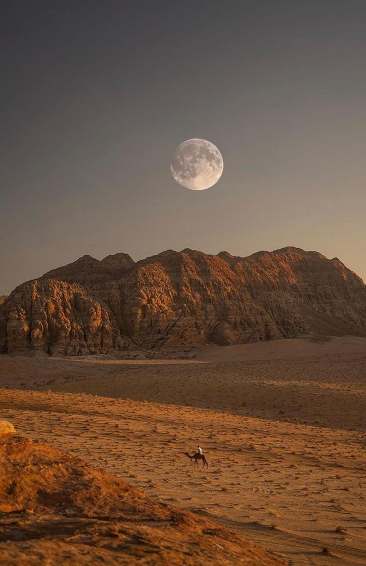 Wadirum Zeid Camp&Tours Wadi Rum Esterno foto