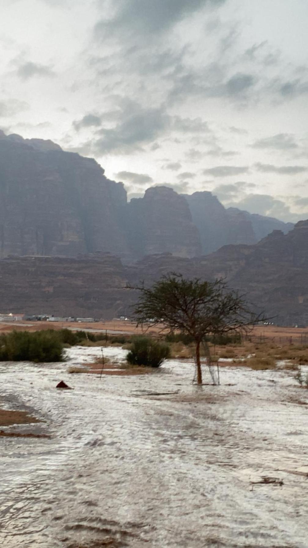 Wadirum Zeid Camp&Tours Wadi Rum Esterno foto