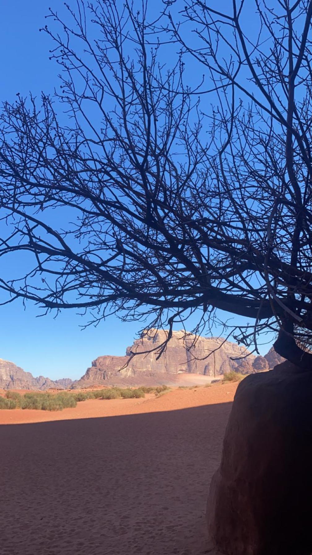 Wadirum Zeid Camp&Tours Wadi Rum Esterno foto